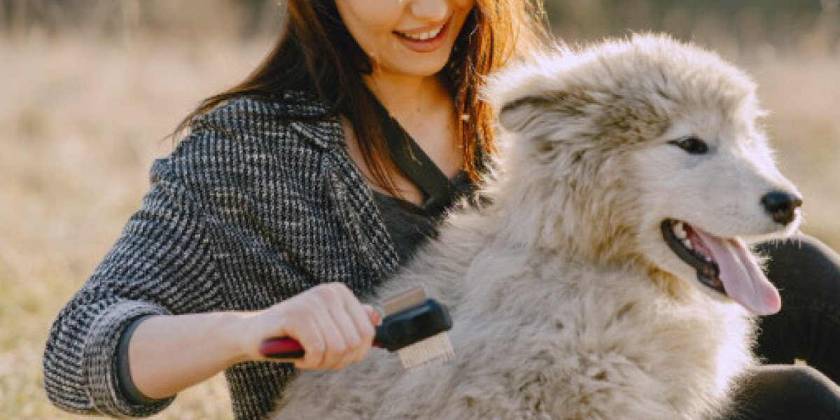 Should Puppies Be Given Euthanasia or Is It Too Early?