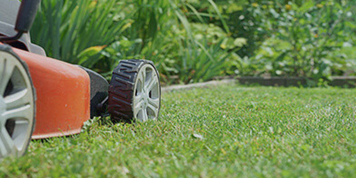 Lawn Mowing Botany – Professional Garden Maintenance You Can Trust