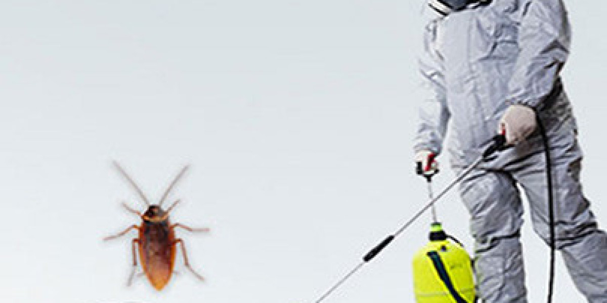 Understanding Pest Control Costs in Chicago: What Local Homeowners Should Know in Years