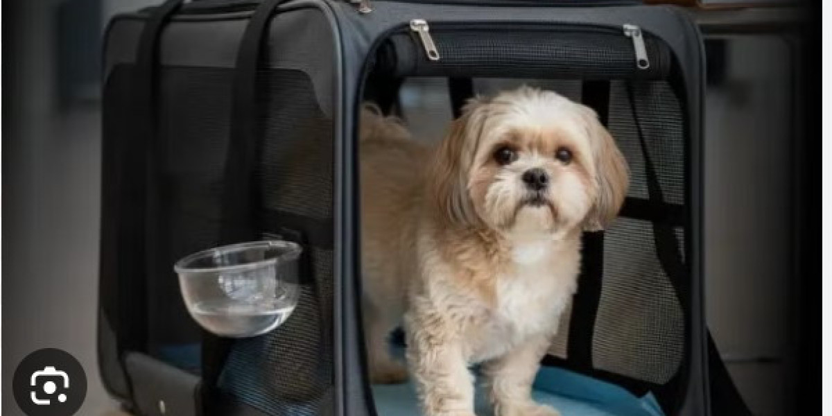 帶毛孩看世界：狗移民全方位指南