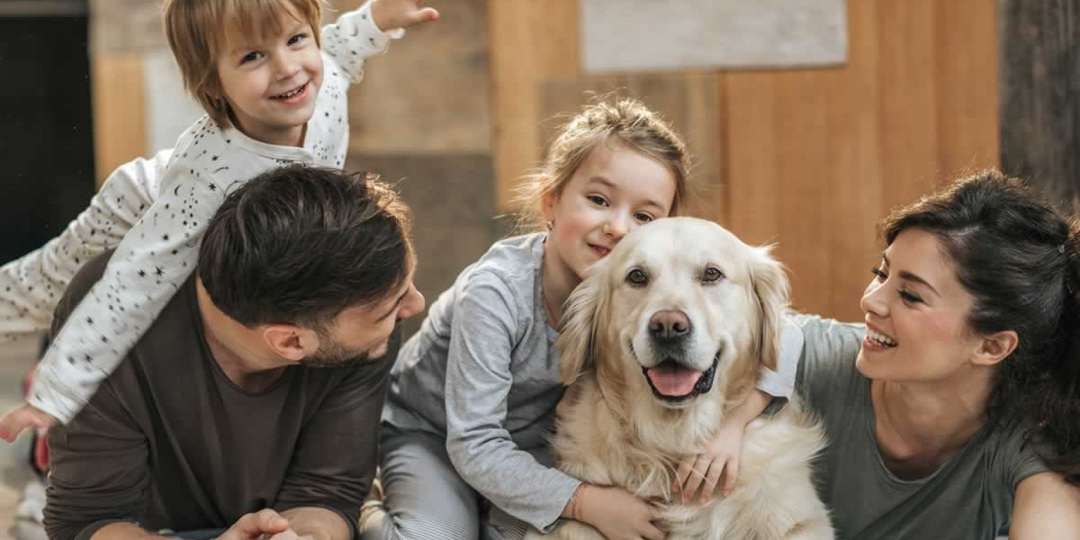 How Does Pet Aftercare Support Families During the Grieving Process?