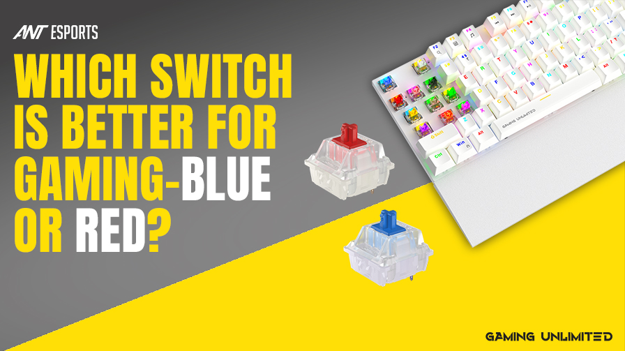 Blue Switch vs Red Switch: Best Mechanical Keyboard for You