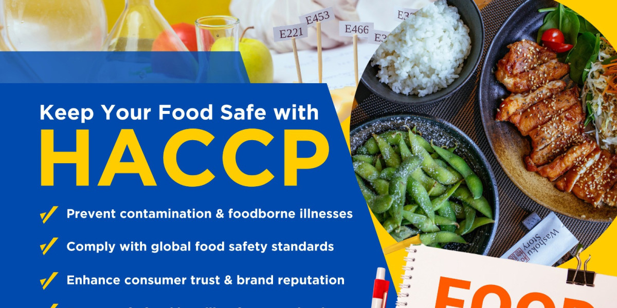 Case Studies: Success Stories of HACCP Certification in Action