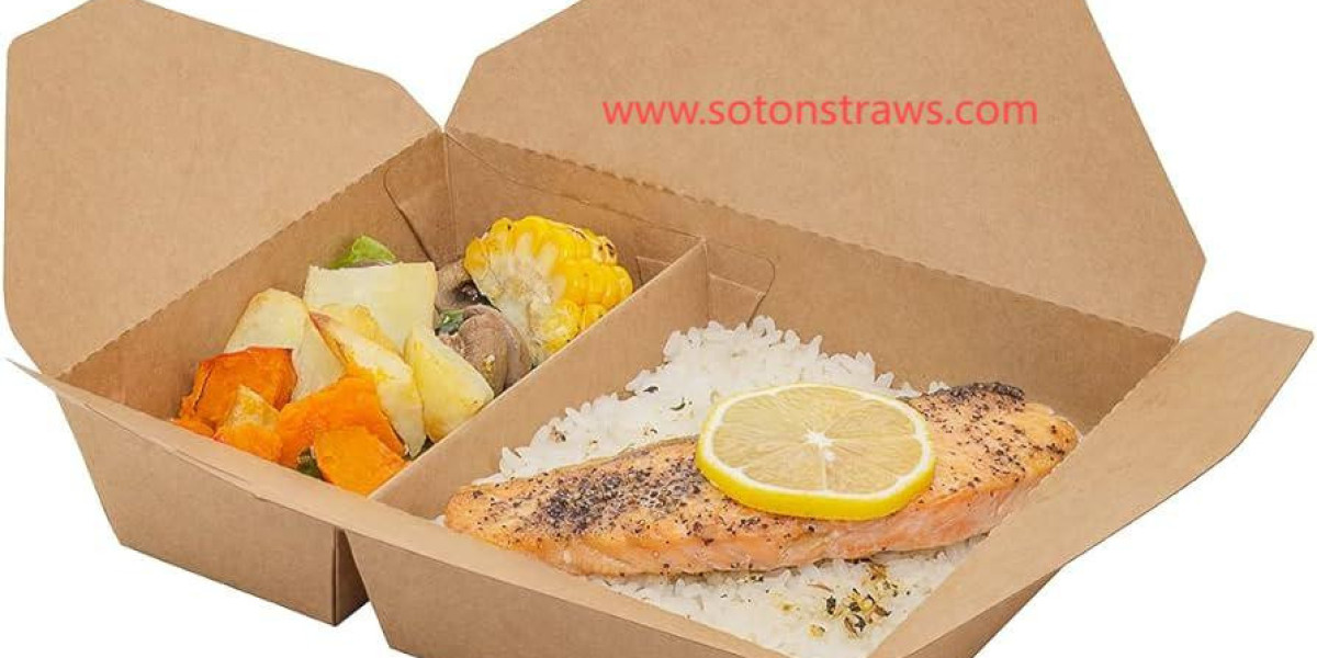 Discover Soton Disposable Kraft Box Factory Excellence