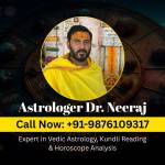 Astrologer Dr. Neeraj Profile Picture
