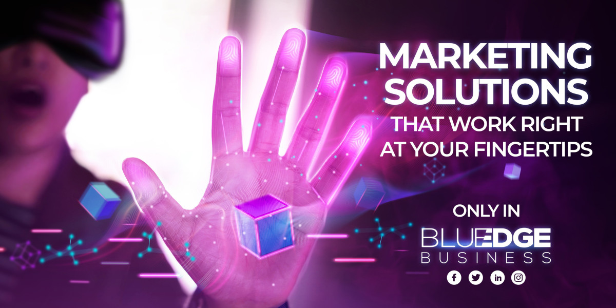 Social Media Marketing Agencies - Blue Edge Business Solution