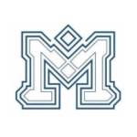 Manviya Tech Solutions Profile Picture