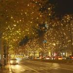 Alicebeth Beth Profile Picture