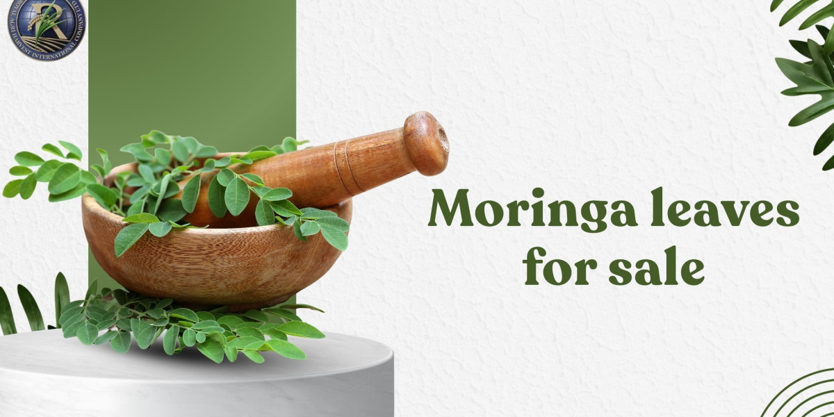 Why Health Experts Recommend Buying Moringa Leaves for Sale Online