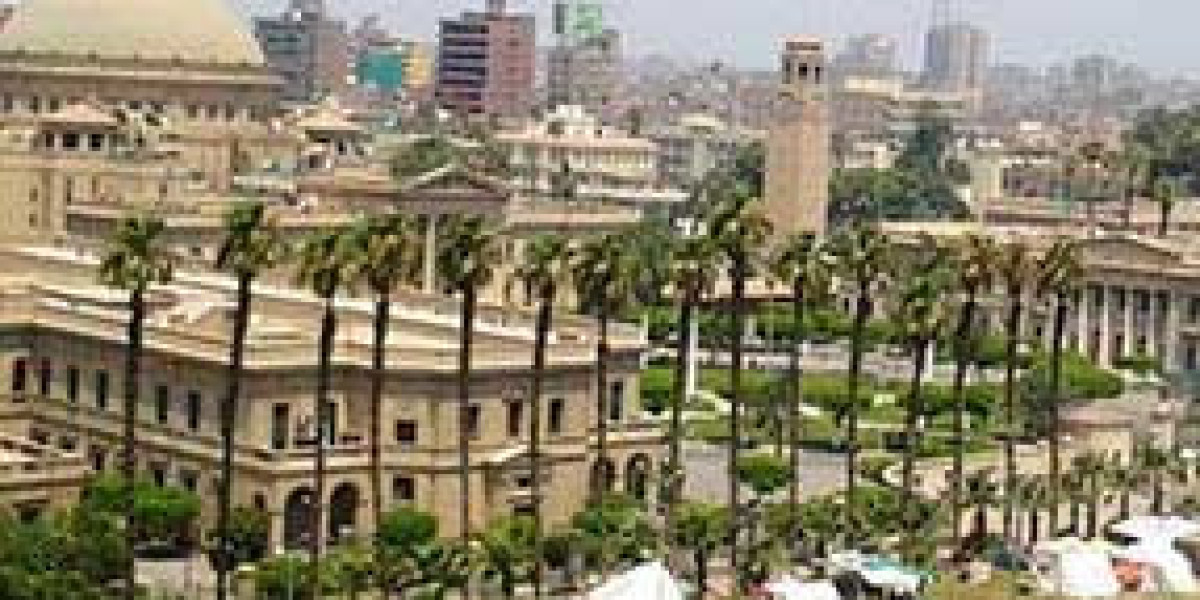 From NEET to Nile Valley — A Complete Journey of Studying MBBS in Egypt