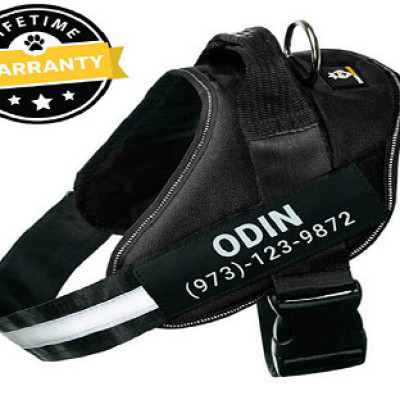 Lifetime Warranty Personalized NO PULL Harness