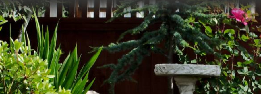 Prime Landscaping Solutions Cover Image