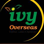 Basha shaik Profile Picture