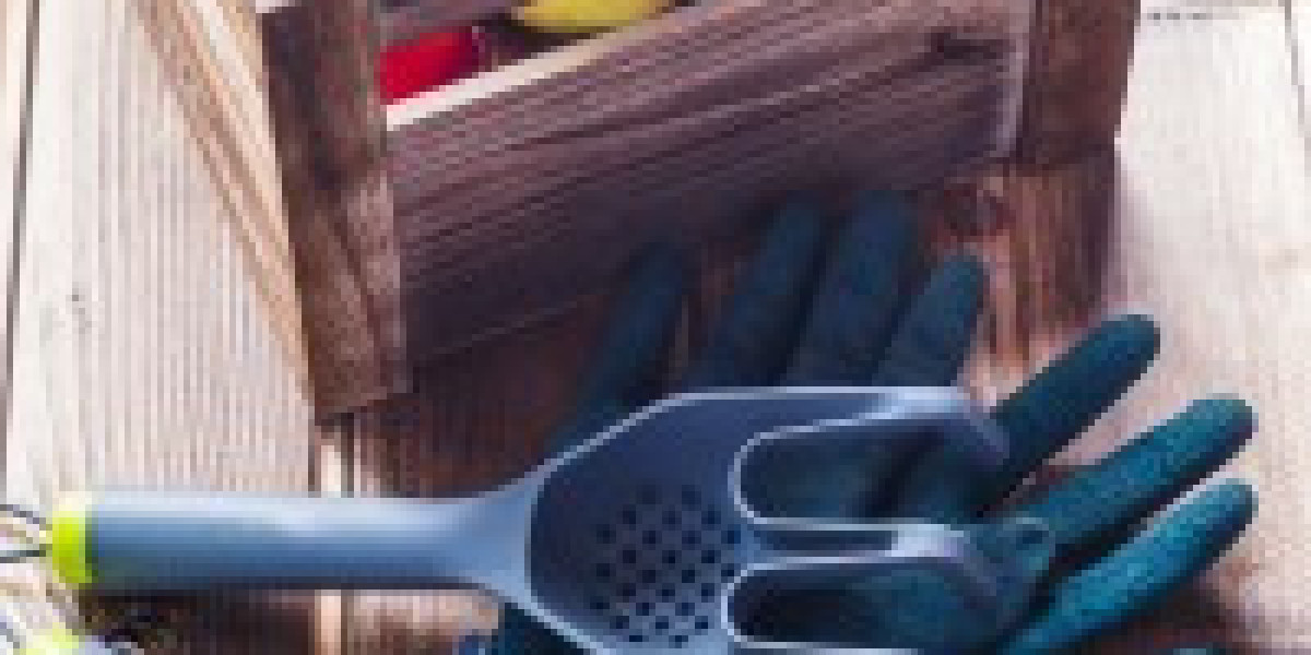 A Comprehensive Guide to Lawn and Garden Care: Tools, Techniques, and Seasonal Strategies