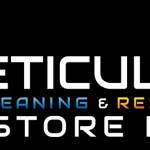 Meticulosity Cleaning Profile Picture