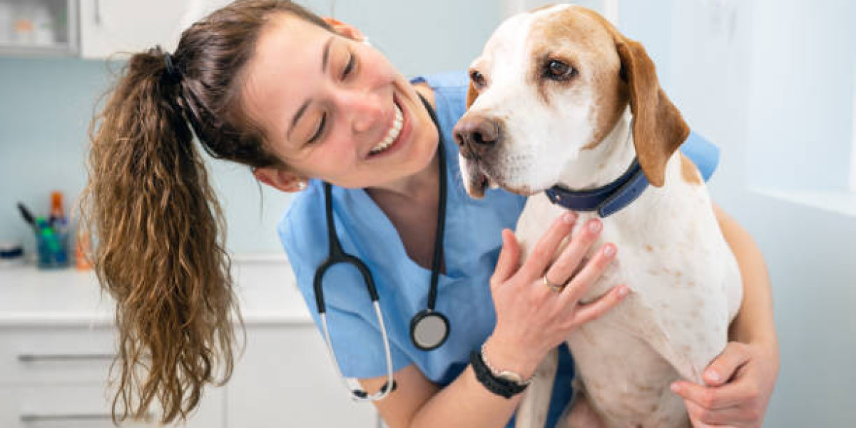 Comprehensive Care at Park Hills Animal Hospital for Pets