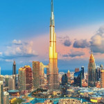 Evie Seeker Profile Picture