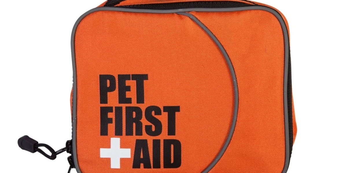 Compact And Practical Pet First Aid Kit Supplier Provides Essential Tools