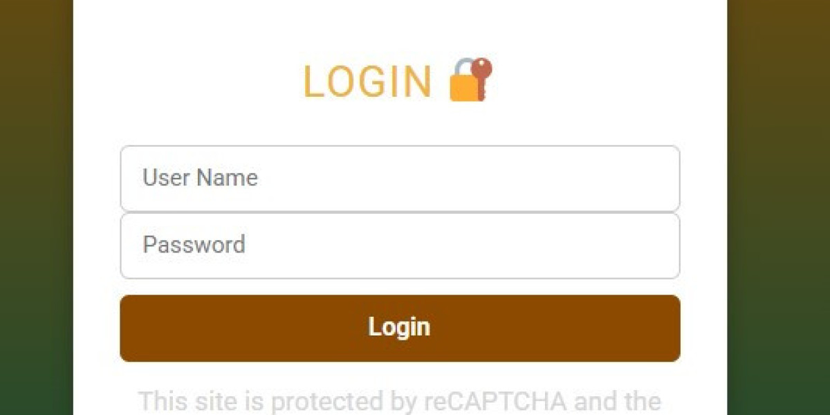 betbhai9 com Explained Official Platform Features