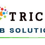 Trice Web Solutions Profile Picture
