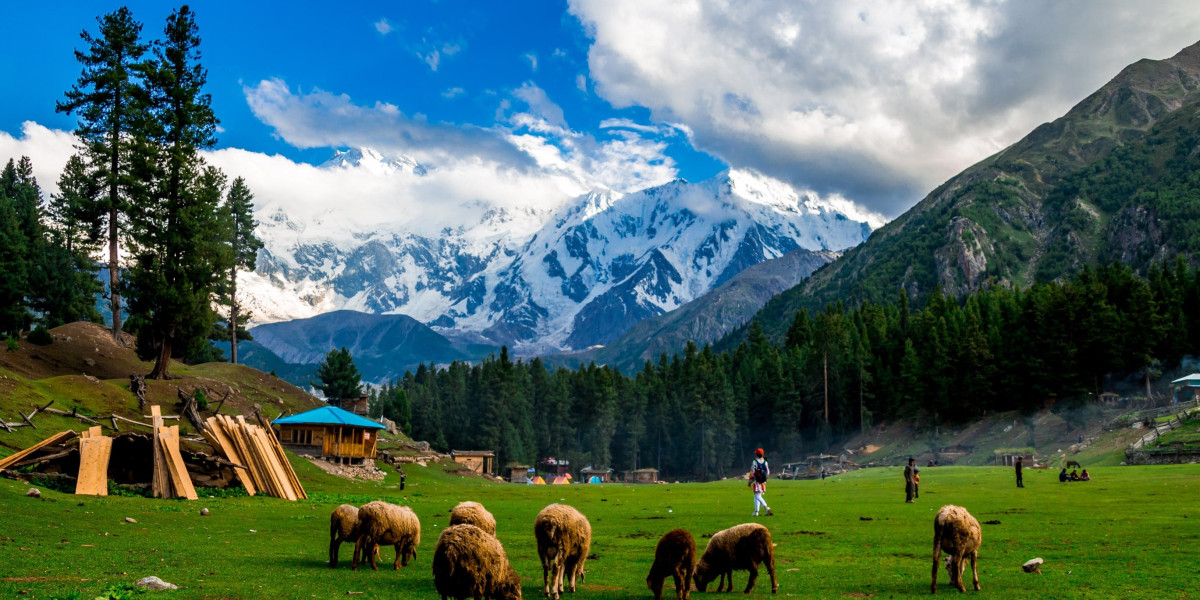 Fairy Meadows Tour That Every Pakistani Nature Lover Dreams Of