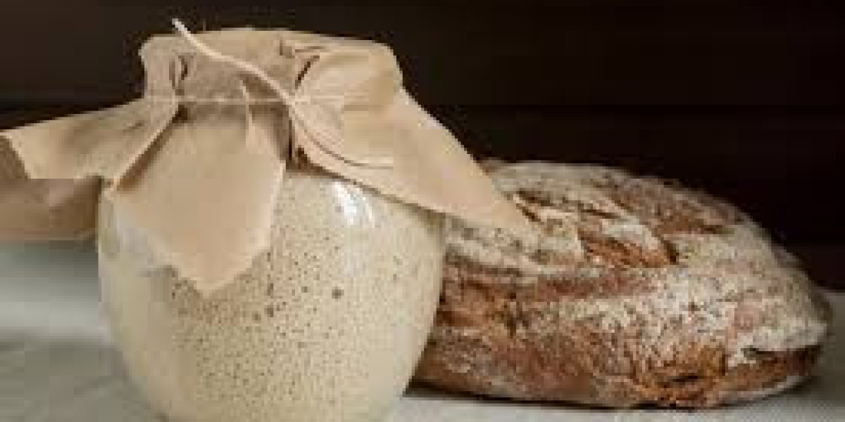 La fermentación como sistema alimentario: por qué los alimentos fermentados han sostenido a la humanidad durante milenio