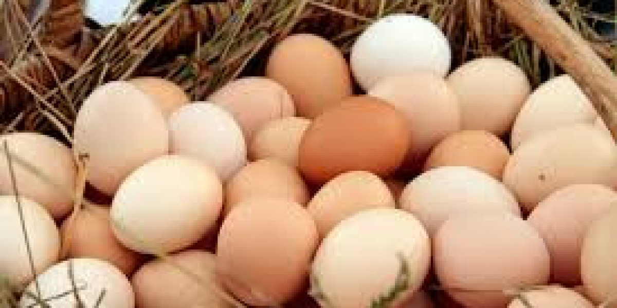 El huevo como proteína de referencia: por qué sigue siendo el estándar nutricional