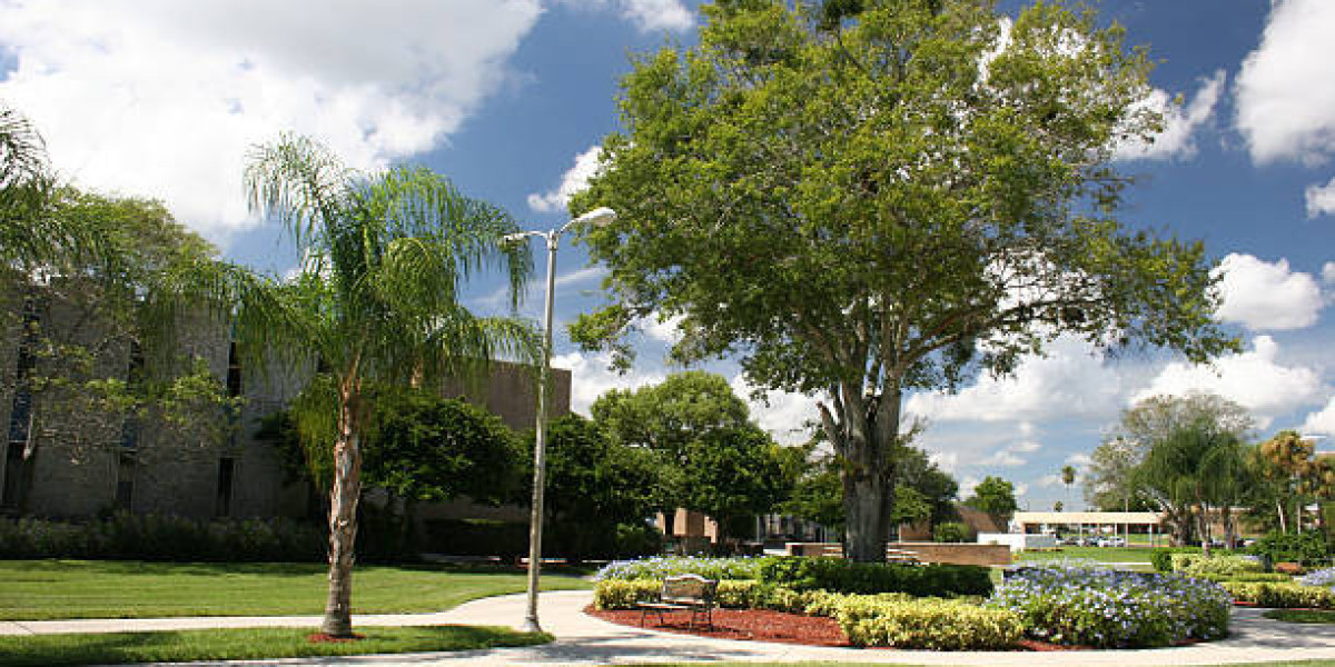 Tampa Commercial Landscaping: What Property Managers Should Demand in 2026