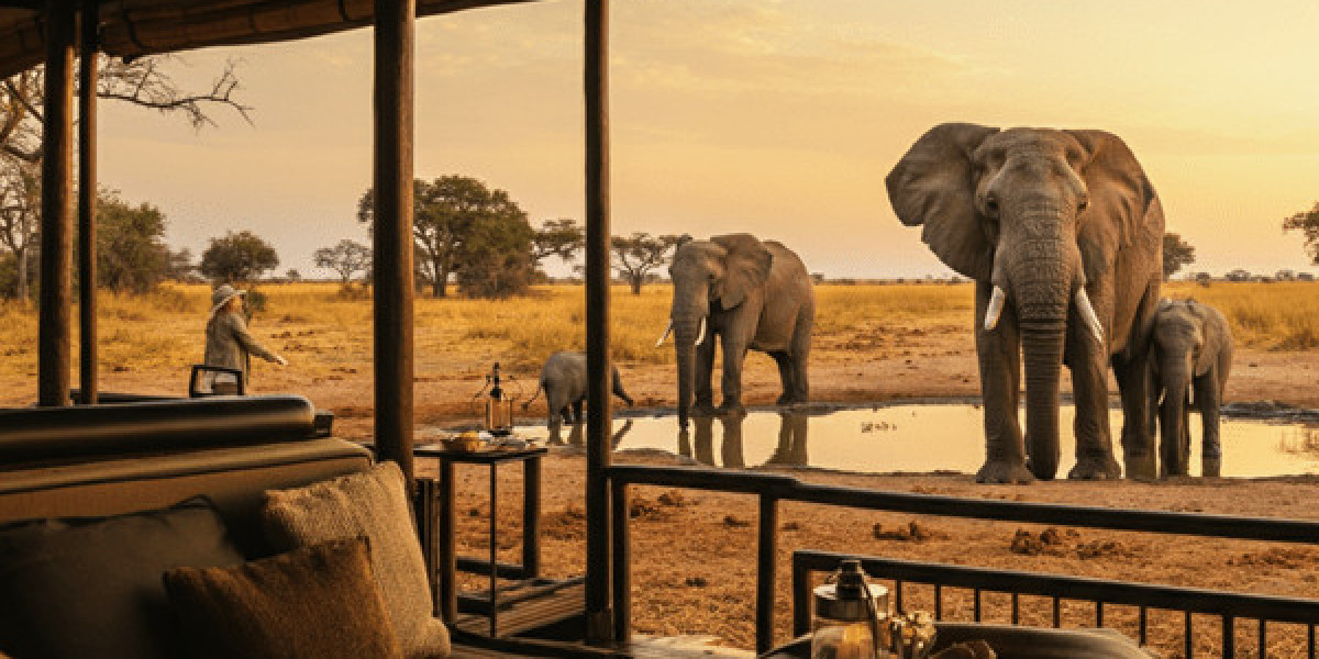 Best Places to Go on Safari: Exploring the Magic of Botswana
