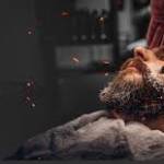 Dariy Mishenko Profile Picture