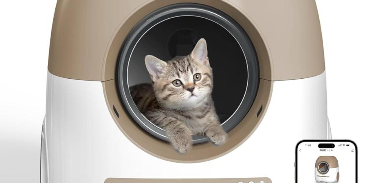 Can Cat Litter Box Automatic Cleaning Reduce Multi-Cat Stress Pawtechpet