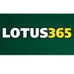 lotusxnss365 lotusxnss365 Profile Picture