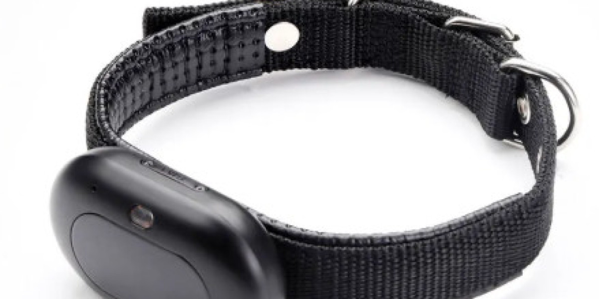 Simplify Pet Management with Pawtechpet Pet Tracker Factory