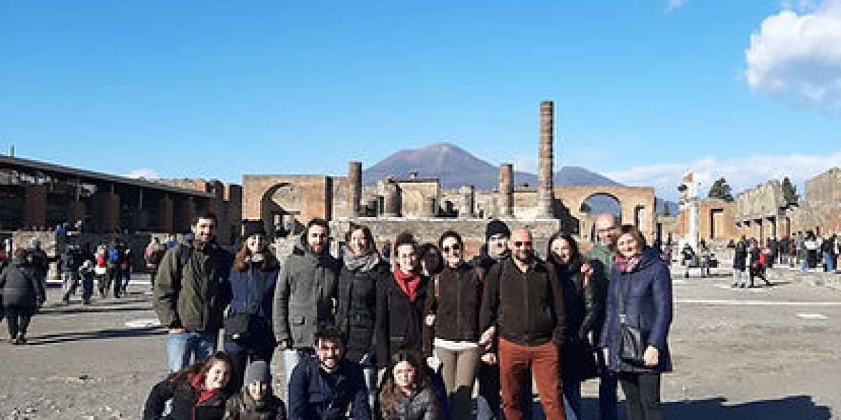 Day tour pompeii from naples