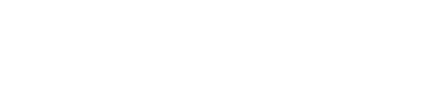 BI Consulting & Advanced Analytics Services